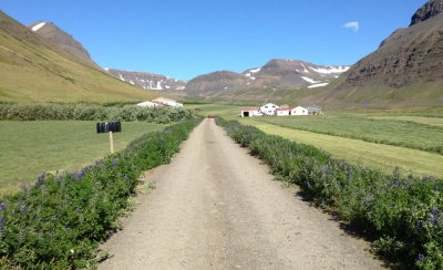 Neðri Breiðadalur, Önundarf. Neðri Breiðadalur, Önundarf.