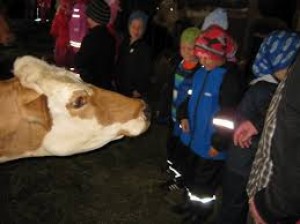 ATH. SÝNISHORN. MYNDIN TENGIST EKKI ÞESSARI JÖRÐ.

Hér getur þú sett inn myndir af því sem þú vilt. 
t.d myndir af fjölskyldunni, húsakosti á þinni jörð, lanslaginu eða vélunum sem notaðar eru á búinu.